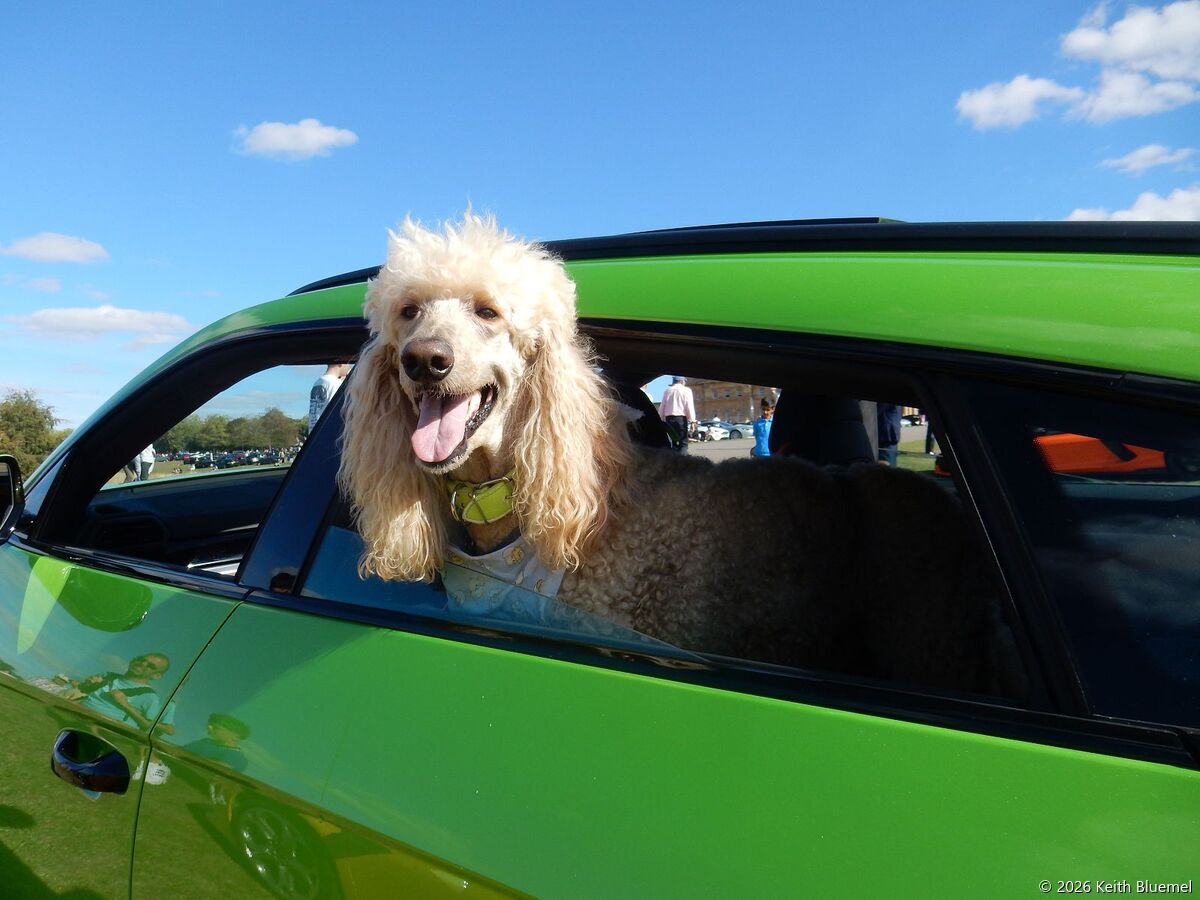 Salon Privé Club Days 2026
