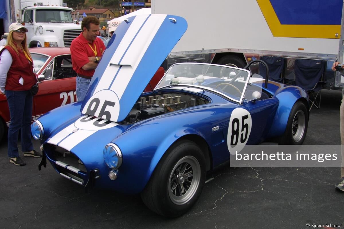 Shelby Cobra USRRC s/n CSX 2514