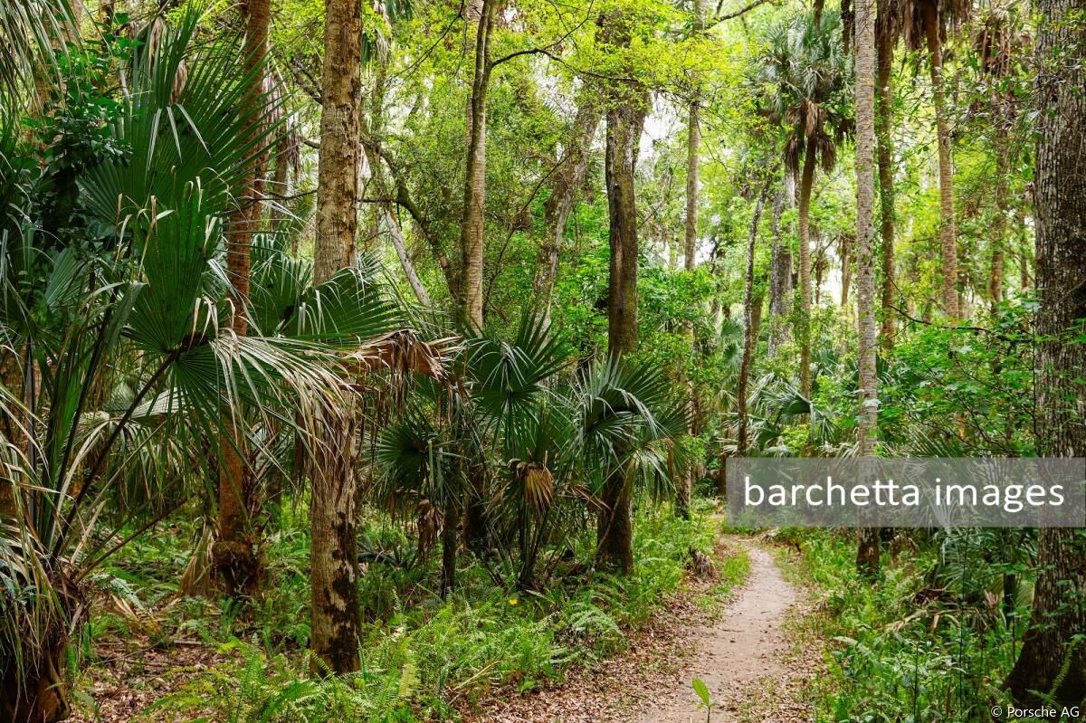 FIA WEC 1000 Miles of Sebring 2022