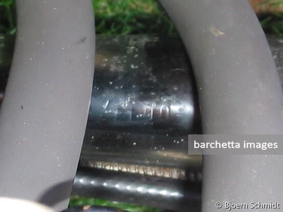 FCA National Meeting, 2004