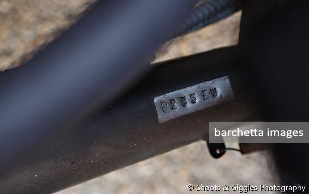 Gooding & Company Scottsdale Auctions