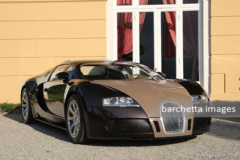 C24 Bugatti Veyron Fbg Hermes Concept 2008