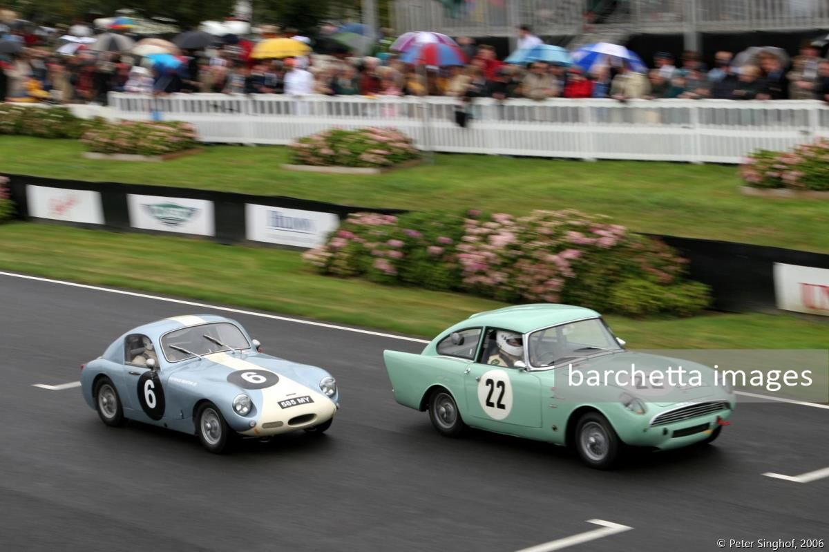 22 Sunbeam Harrington Alpine Le Mans Robin Blunden;06 Austin Healey Speedwell Sprite Michael Wylie