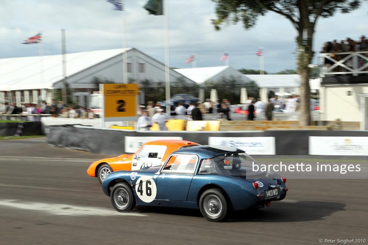 Goodwood Revival 2010