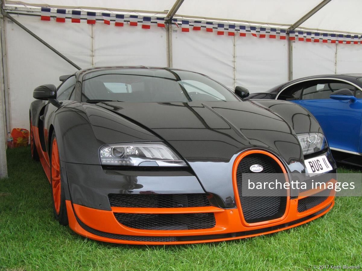 La Vie en Bleu & La Vita Rossa, Prescott, 2017