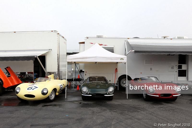 Jaguar D-Type and XKSS