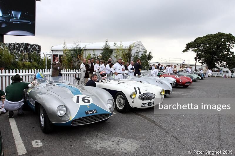 11 Austin Healey 100S  Emanuele PIRRO;16 Ferrari 750 Monza sn.0568M Carlos MONTEVERDE
