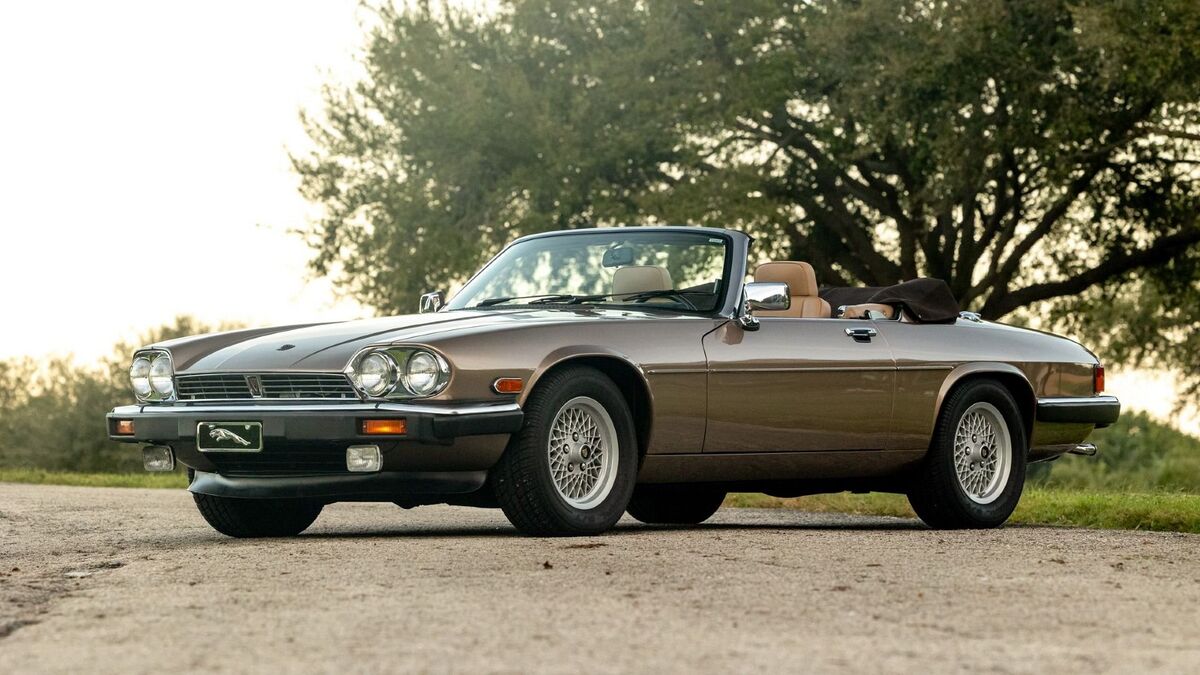 The Amelia Auction 2026