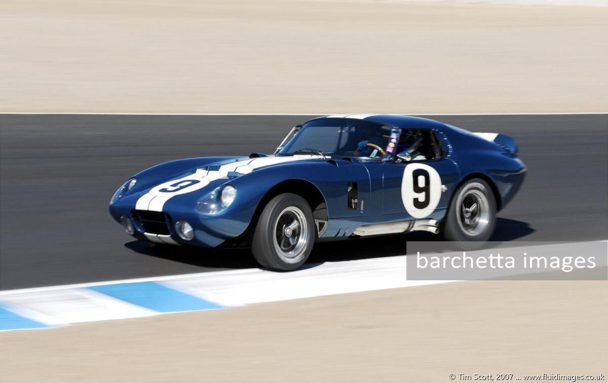 9 - 1965 Cobra Daytona s/n CSX 2286 - Rob Walton