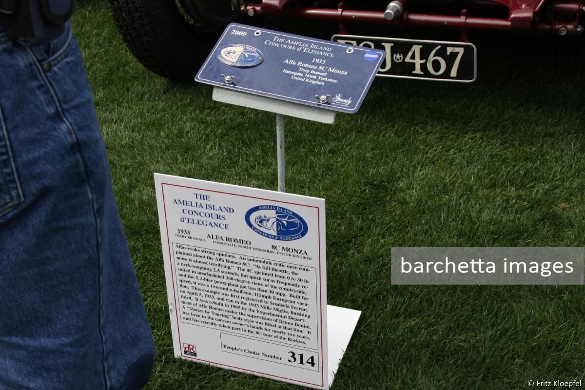 SC 1933 Alfa Romeo 8C Monza Terry Bramall