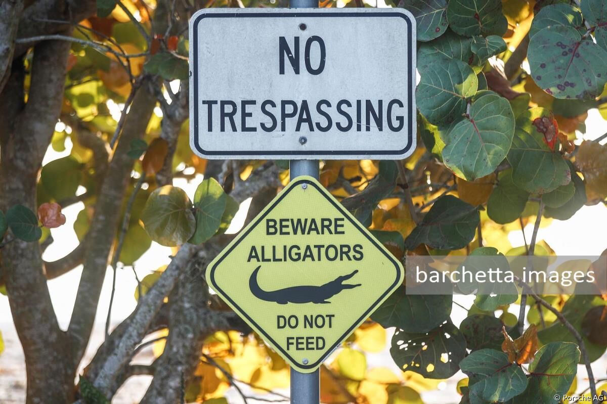 FIA WEC 1000 Miles of Sebring 2022