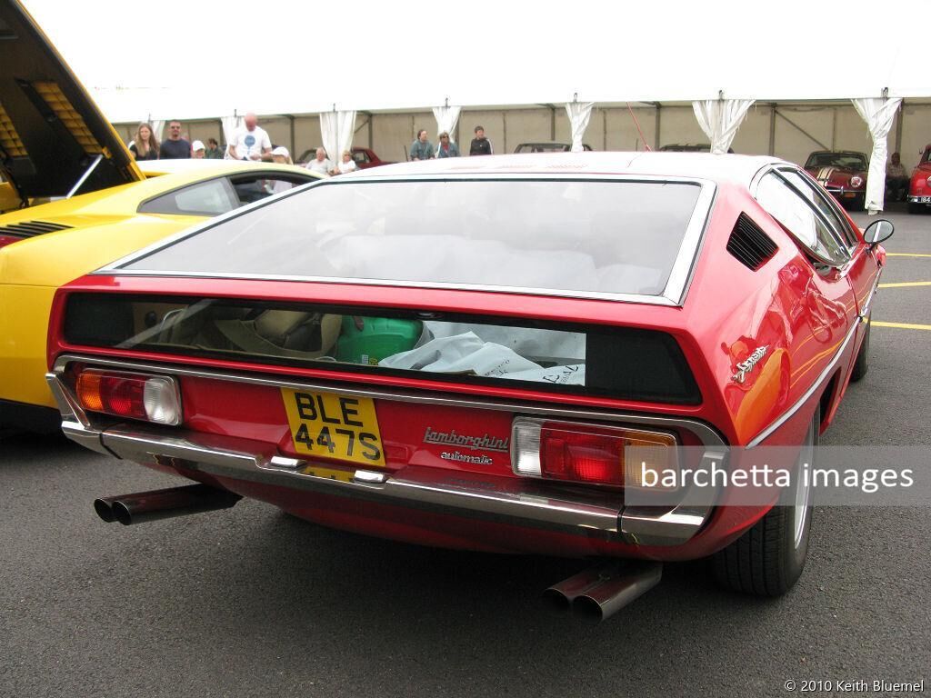 Silverstone Classic 2010