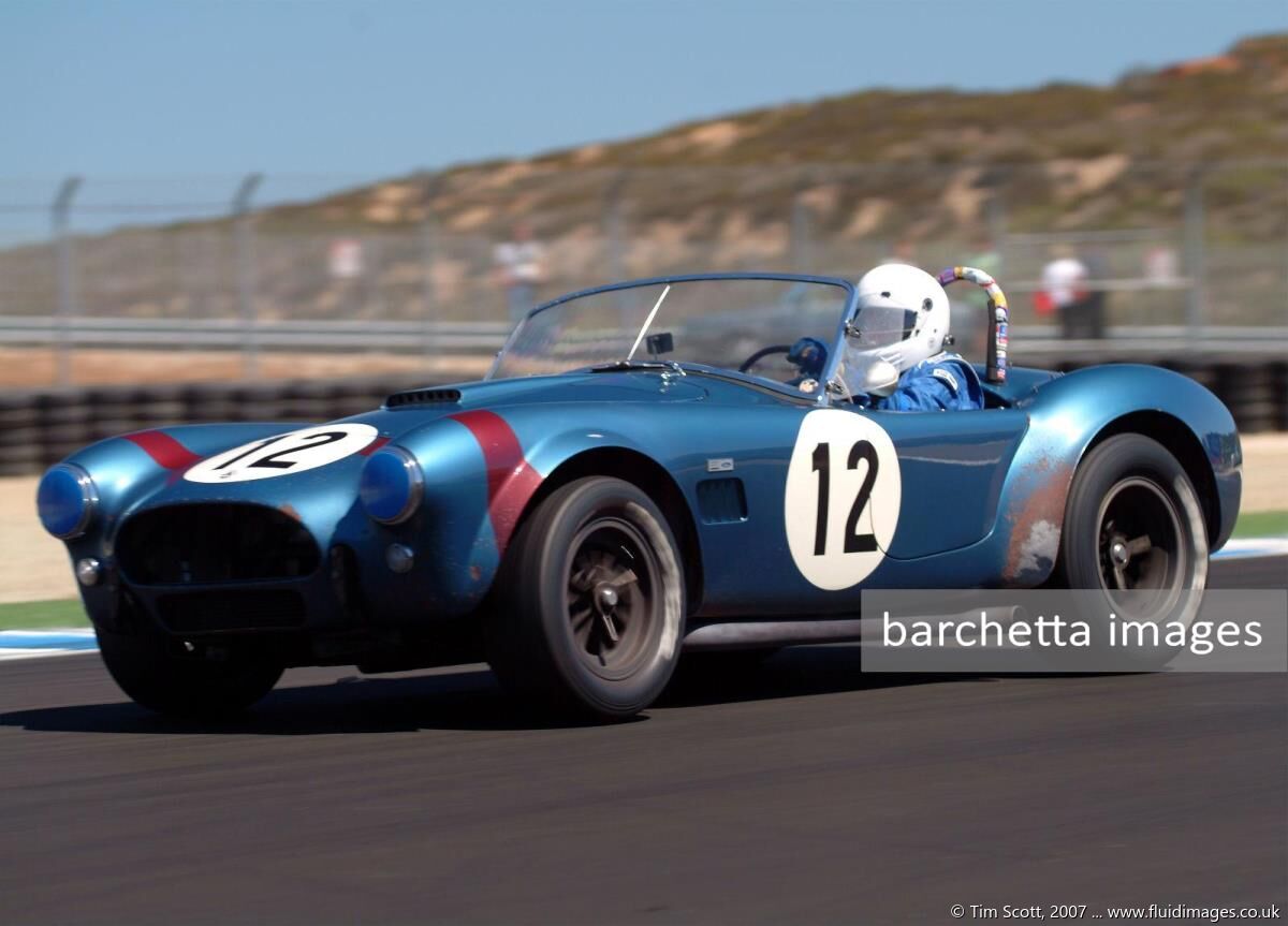 12 - 1964 Cobra s/n CSX 2301 - Phil Gallant