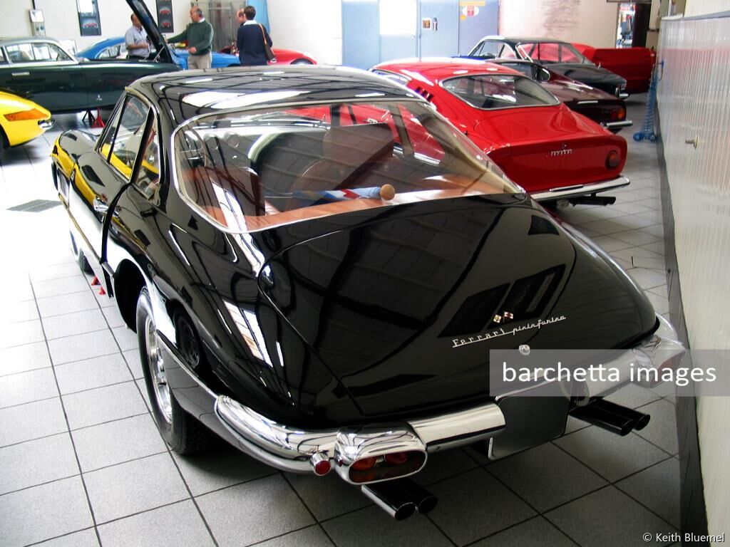 Camellini Collection