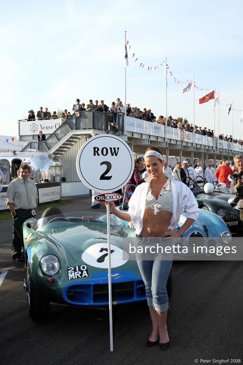 Goodwood Revival 2008