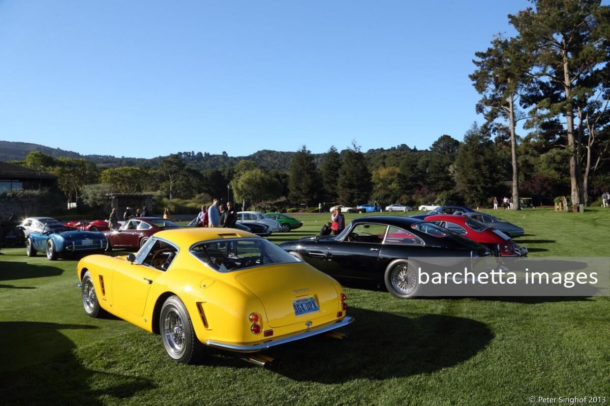 The Quail Rally 2013