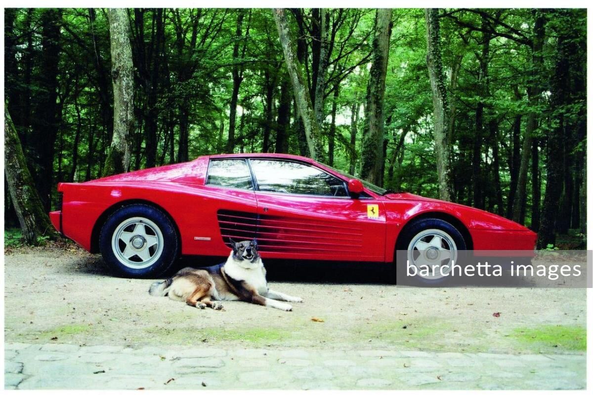 Lot 382 - 1987 Ferrari Testarossa ex-Alain Delon s/n 70429 Est. €35,000 - 55,000 (NR)