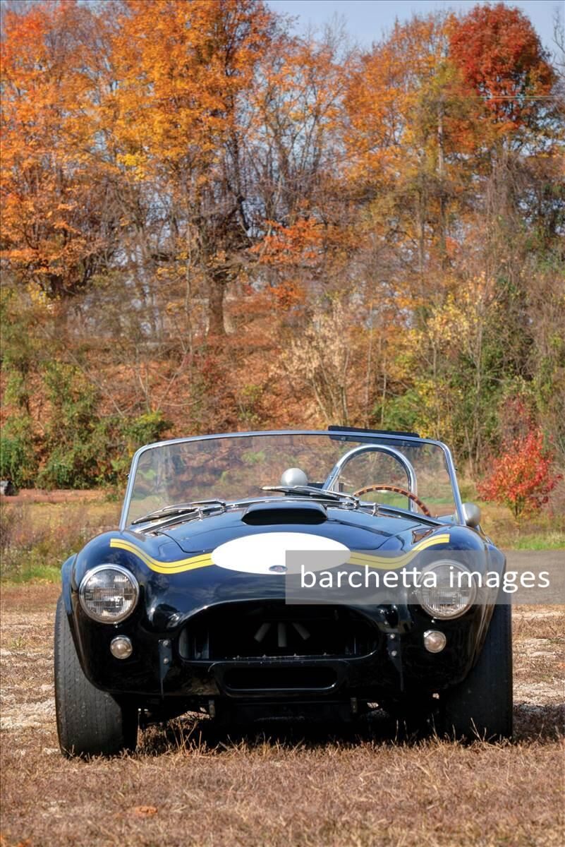 RM Auction - Arizona