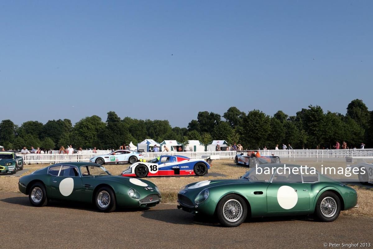 Aston Martin Centenary Celebration 2013