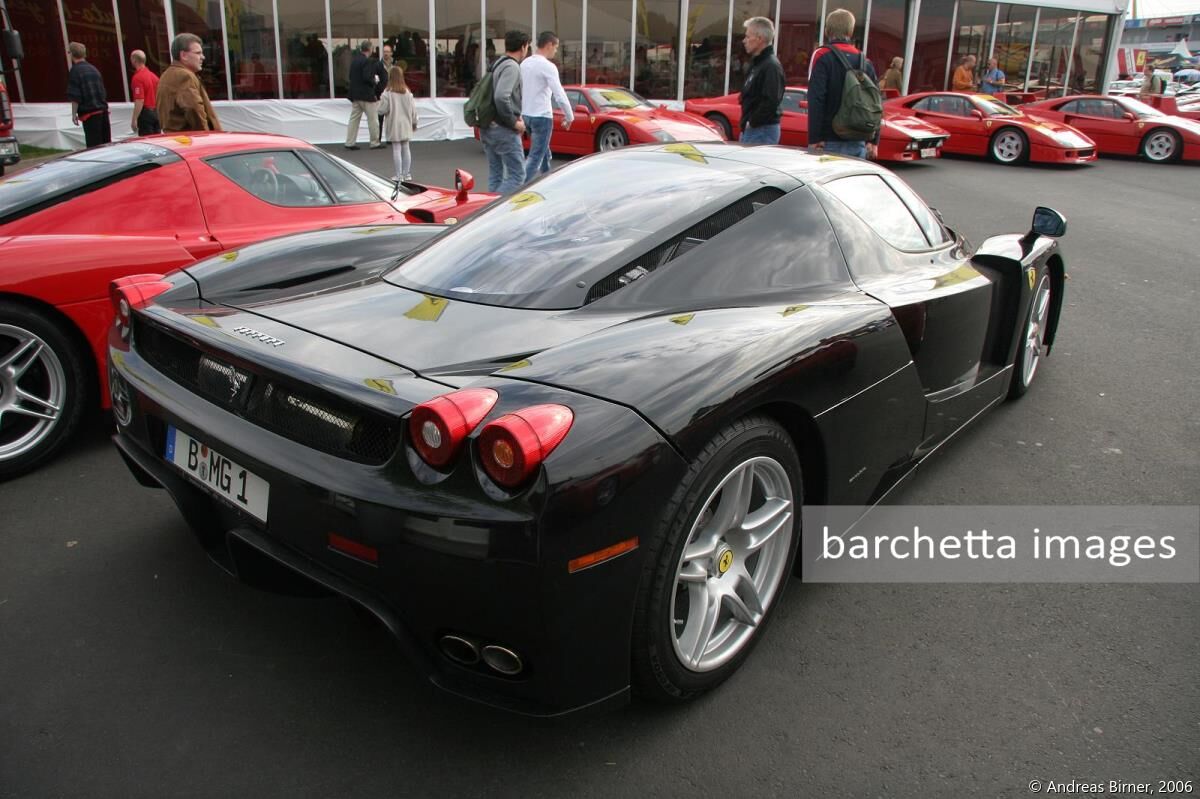 Enzo Ferrari s/n 128805 of Michael Gabel