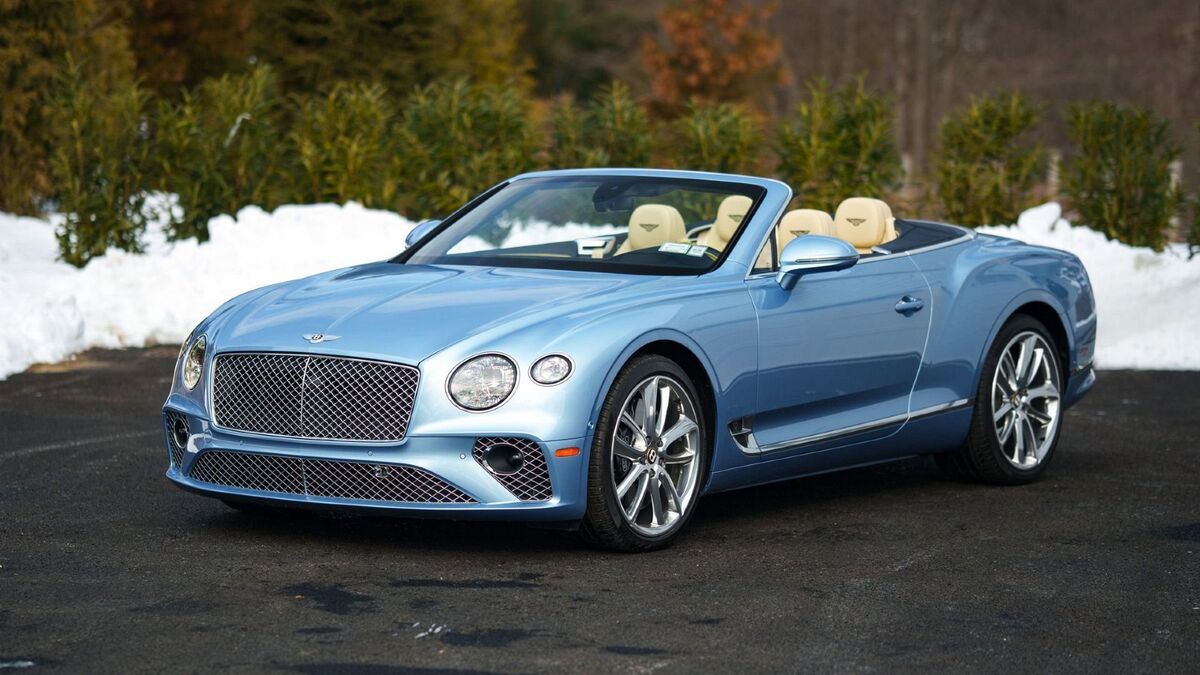 The Amelia Auction 2026