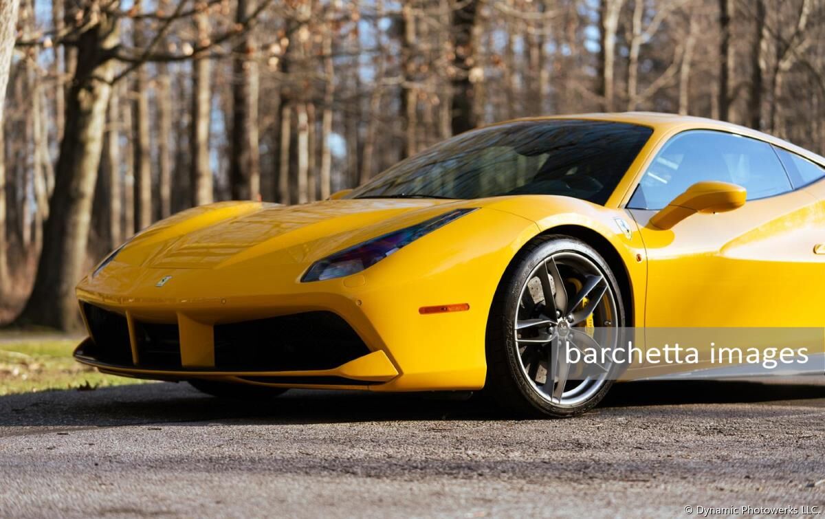 Gooding & Company Amelia Island Auction