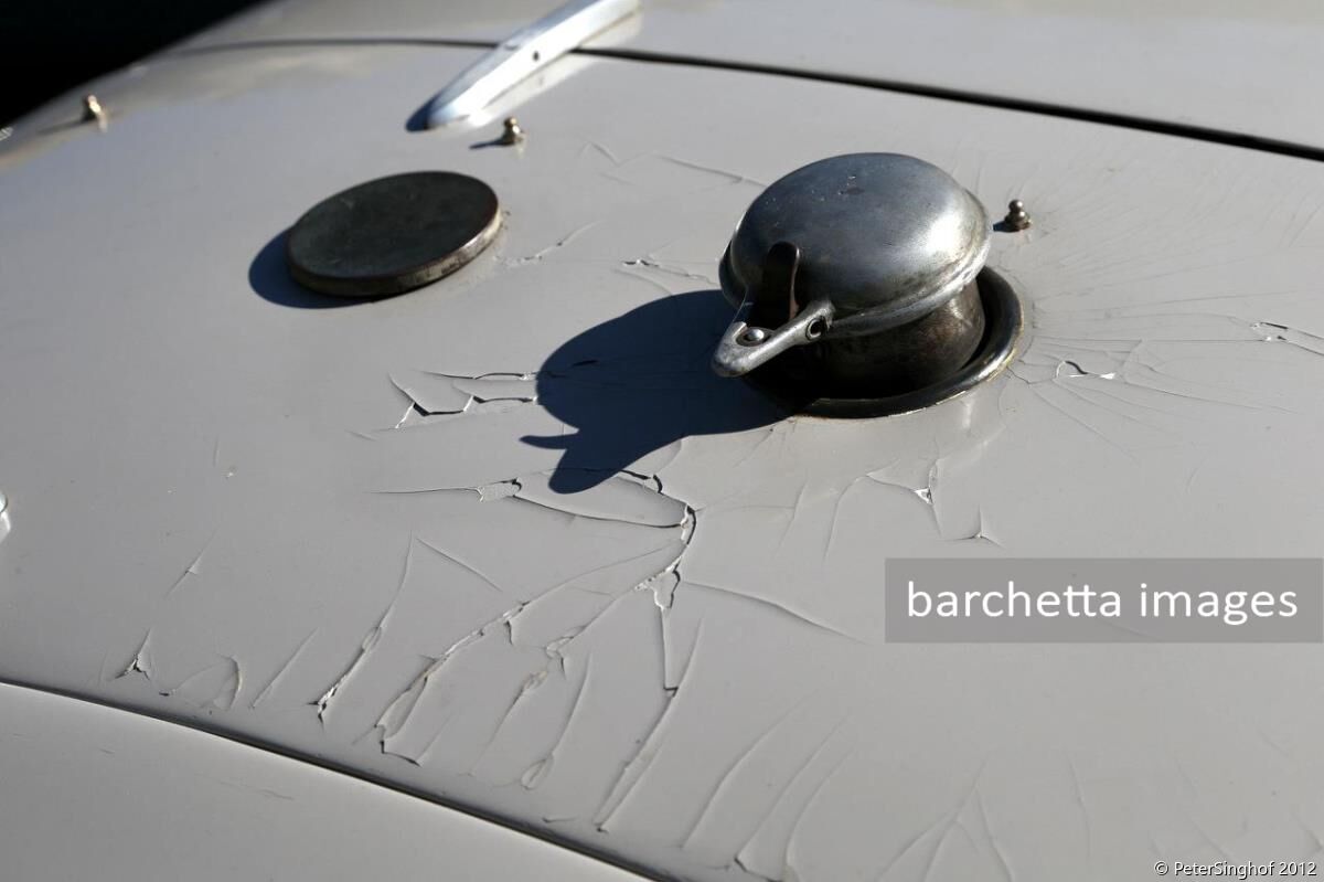 Windsor Castle Concours 2012