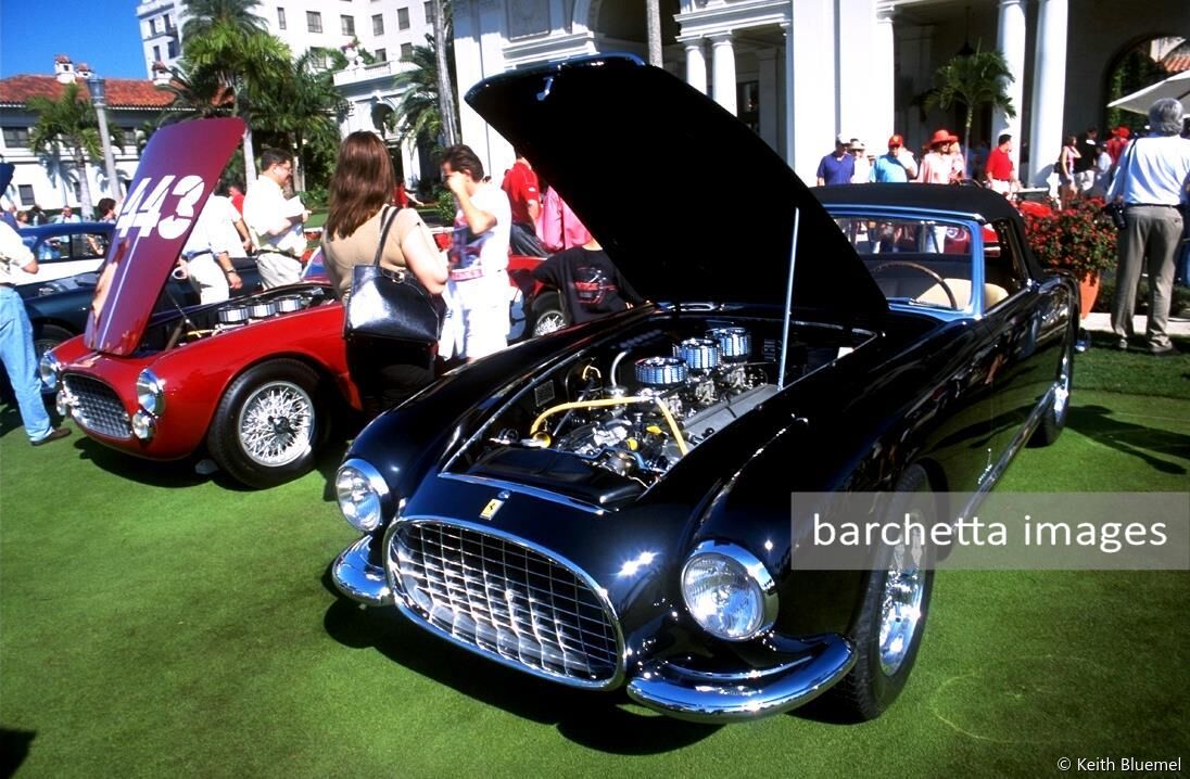 02/jan/26 - Platinum - XI. Cavallino Classic, class 1 - Art Zafiropoulo