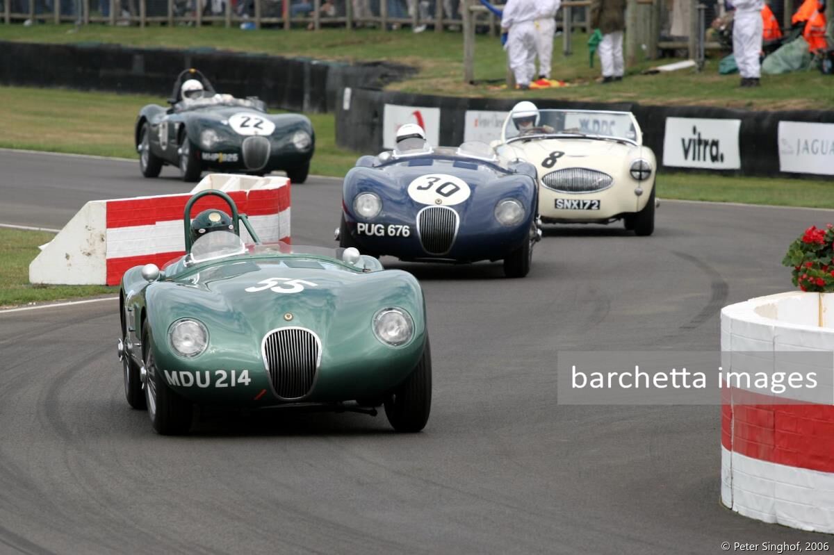 55 Jaguar C-Type Nigel Webb;30 Jaguar C-Type Ben Cussons;08 Austin Healey 100 S Michael Darcey