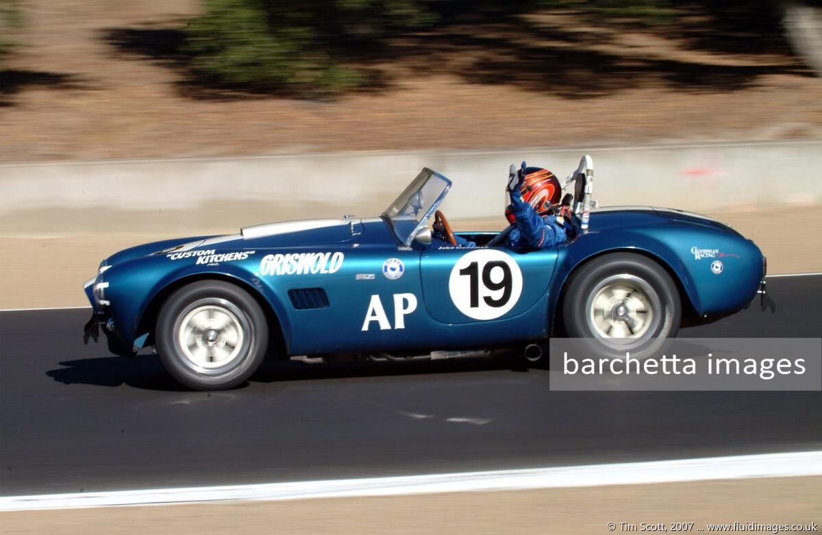 19 - 1964 Cobra s/n CSX 2192 - John Goodman