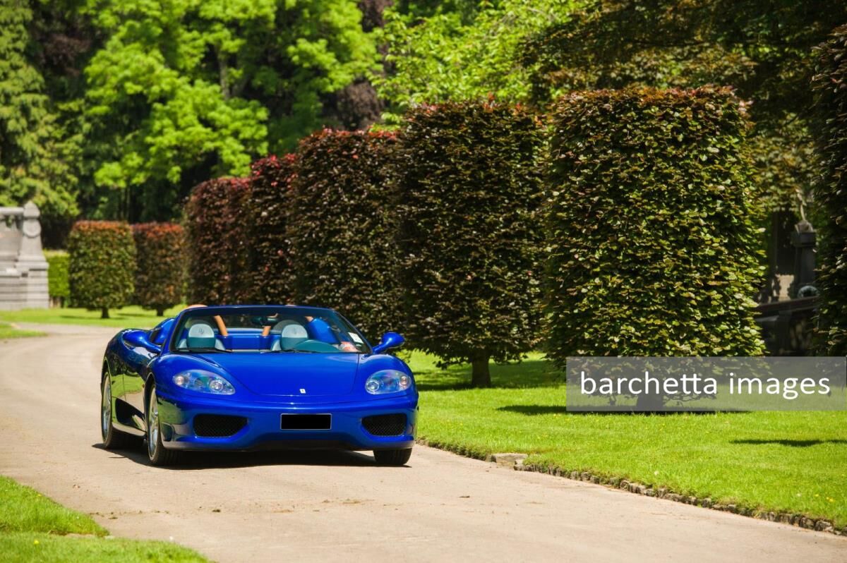 Le Mans Classic Auction, 2016