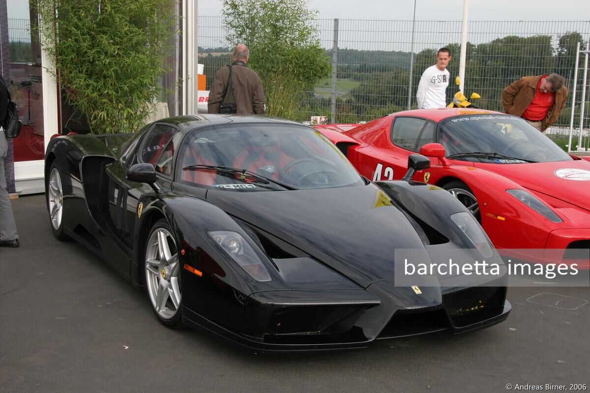 Enzo Ferrari s/n 128805 of Michael Gabel