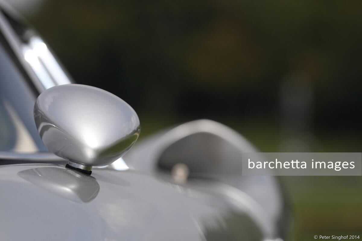 Chantilly Arts & Elegance 2014