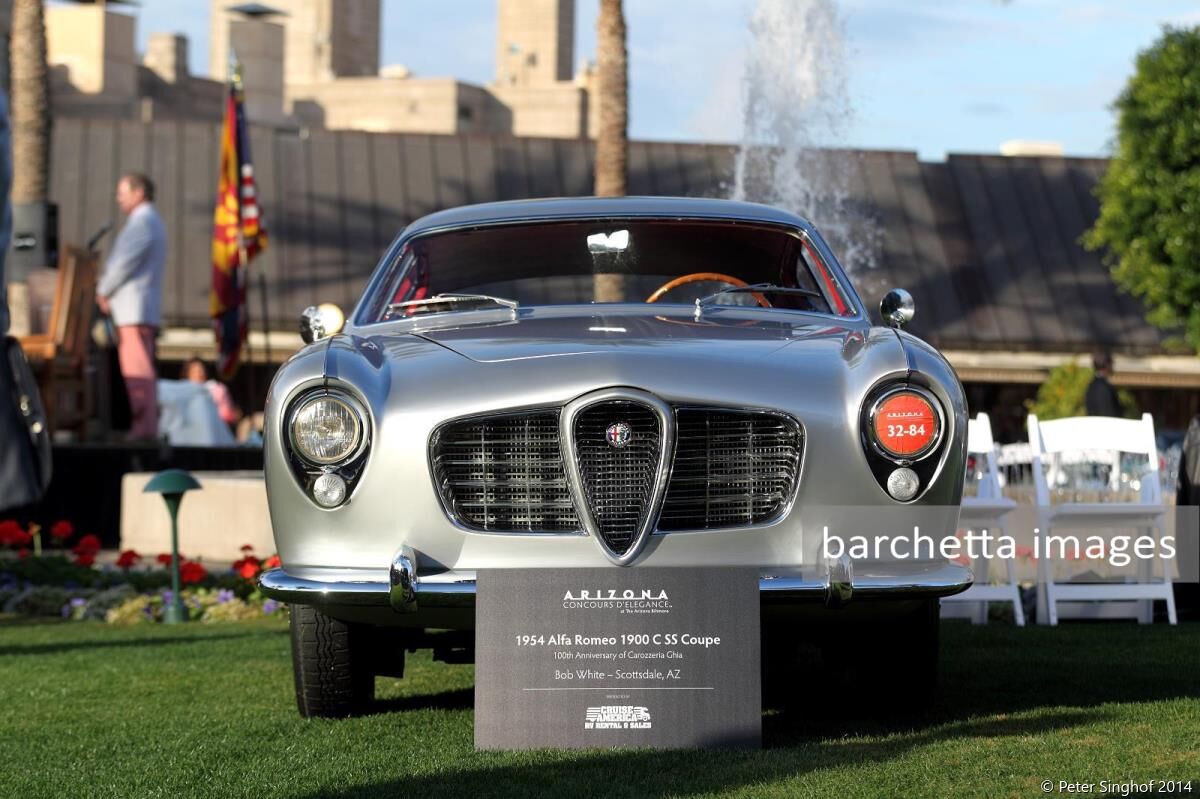 Arizona Concours 2015