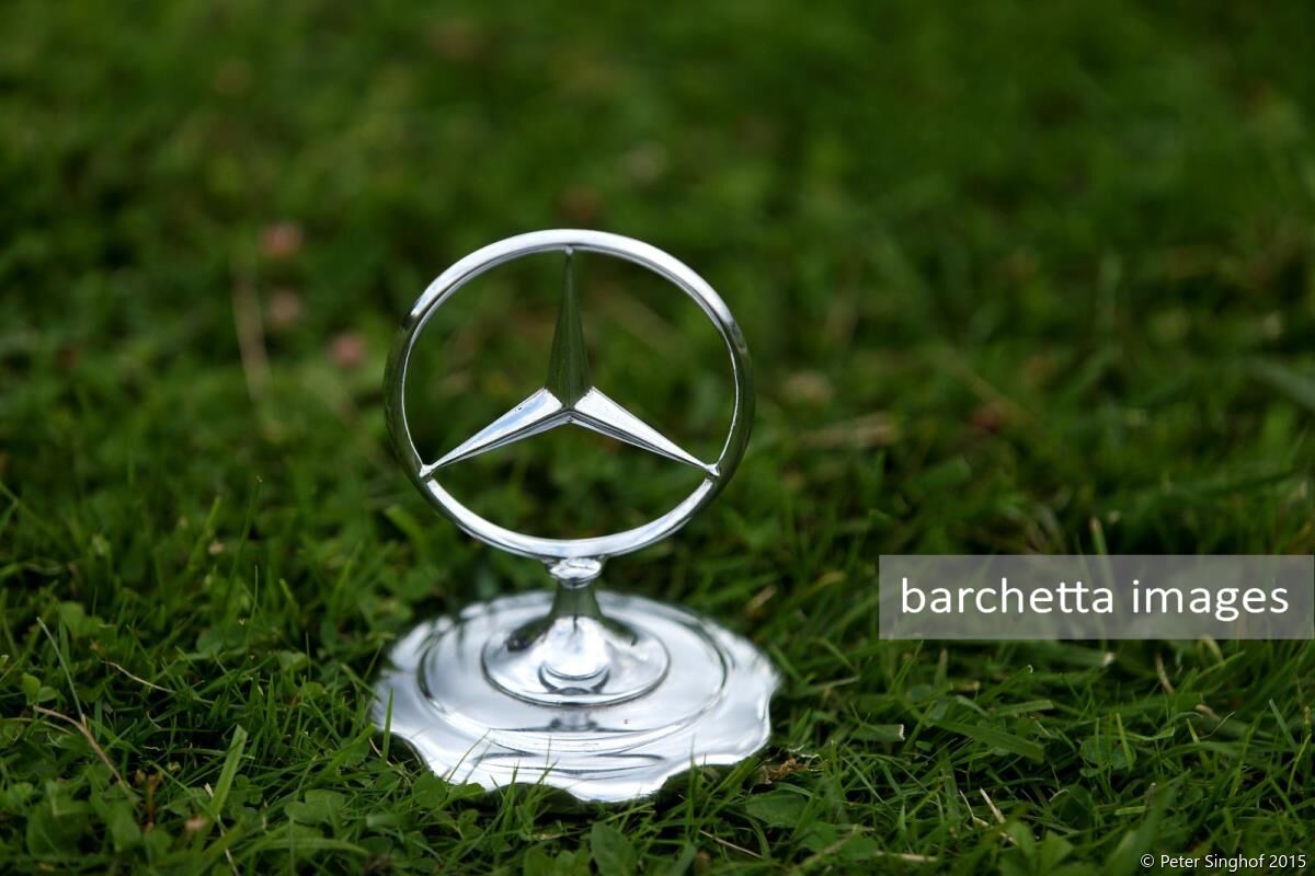 Chantilly Arts & Elegance 2015