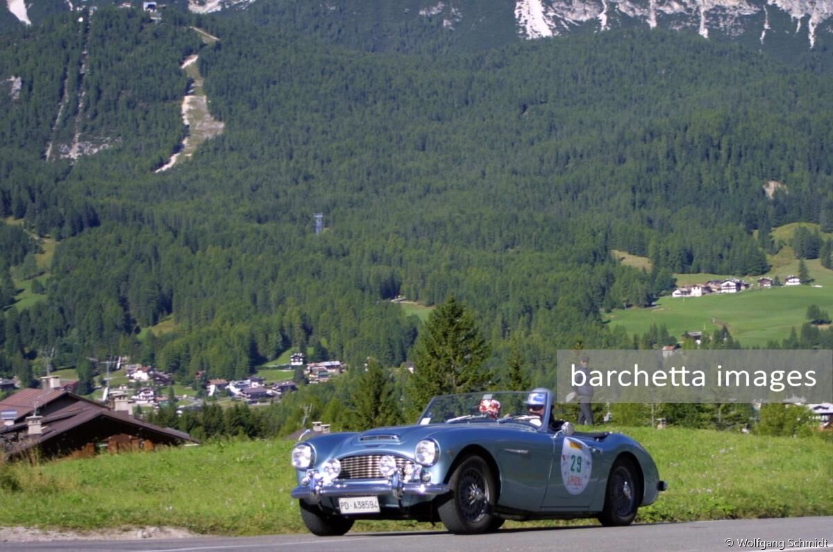 Austin Healey 100-6 (Massara-Schira)